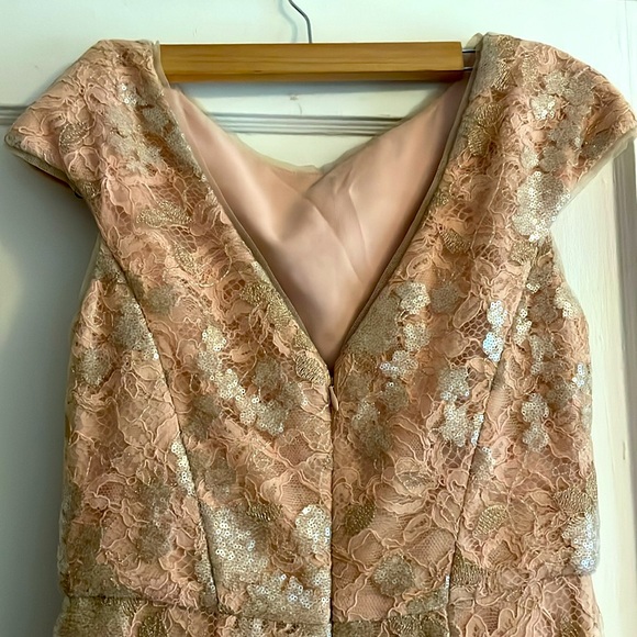 Vera Wang formal pink rose lace with gold/sliver detail size 6 - Picture 2 of 6